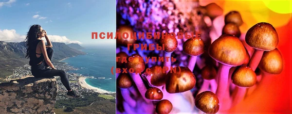 эйфоретик Аркадак